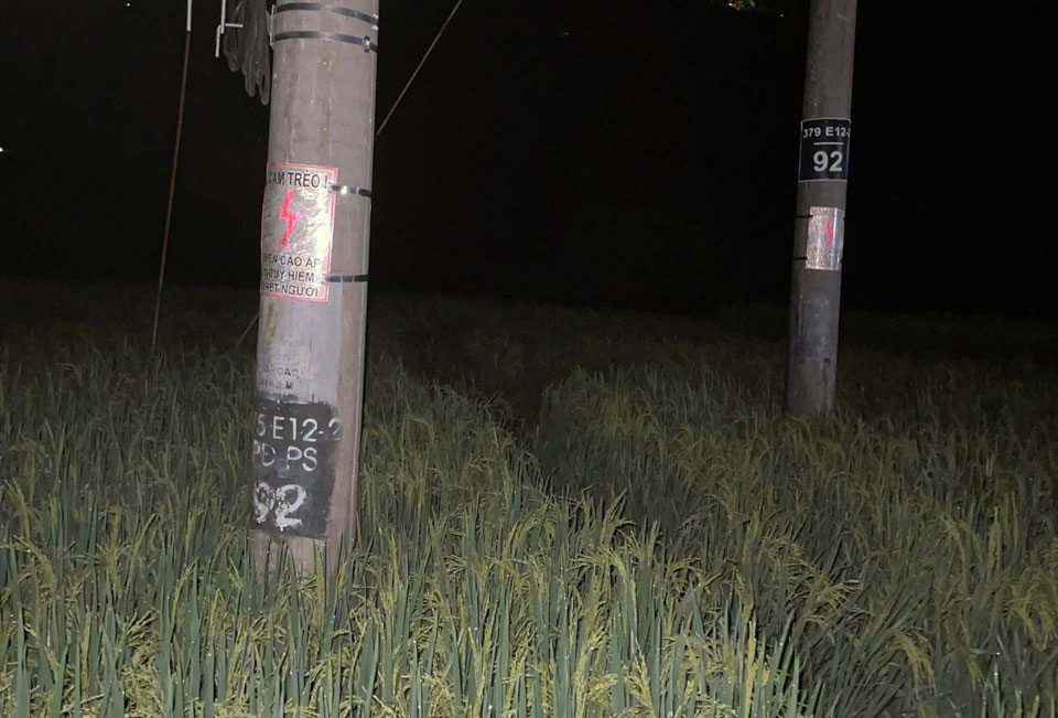 The 35kV power pole - where the incident occurred - has been installed with a warning sign "No climbing". Photo: PC Lao Cai