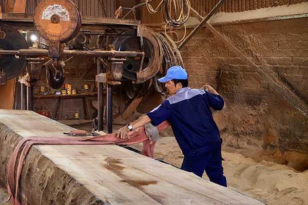 Một thân gỗ lớn được đưa vào máy xẻ, mở đầu cho quá trình chế tác đồ gỗ tại làng nghề Kha Lâm. Ảnh: Ngọc Huyền