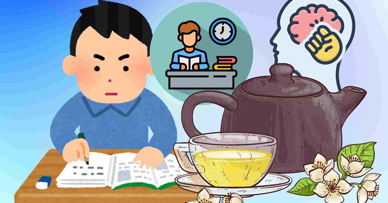 Trà thảo mộc tiếp sức mùa thi