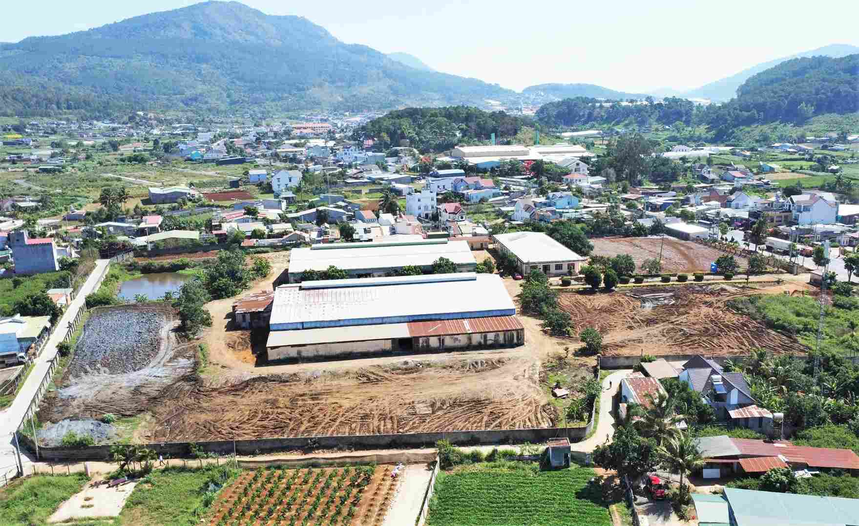 Las empresas que almacenan estiércol de vaca afectan gravemente la vida de las personas de los alrededores. Foto: Phuc Khanh