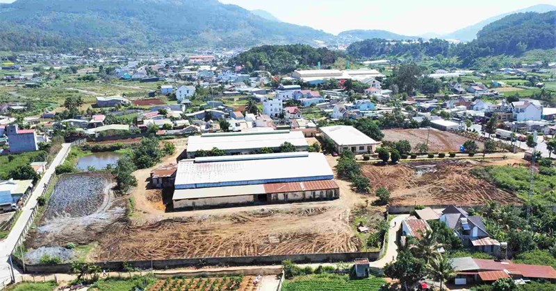 Doanh nghiệp chất đống phân bò, dân xã Hòa Lợi khốn khổ