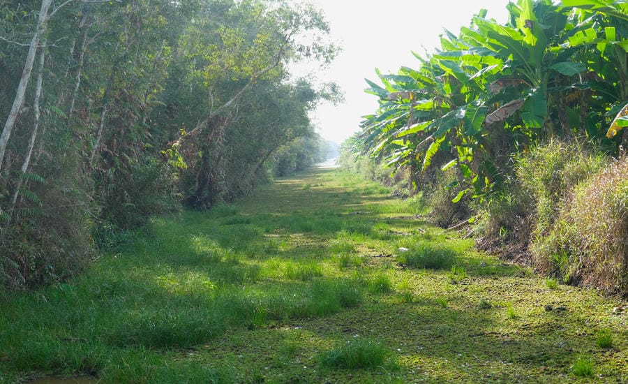 A corner of U Minh Ha, Ca Mau. Photo: Phong Linh
