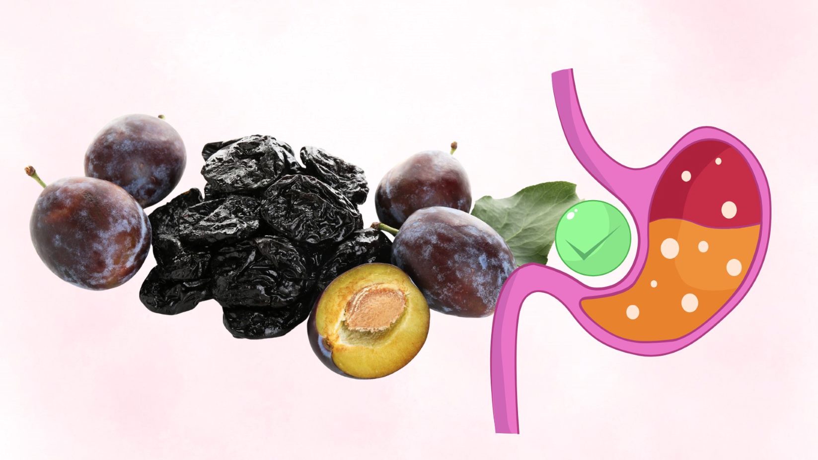Adding prunes to your diet helps support digestion and improve the gut microbiome. Graphics: Thanh Thanh