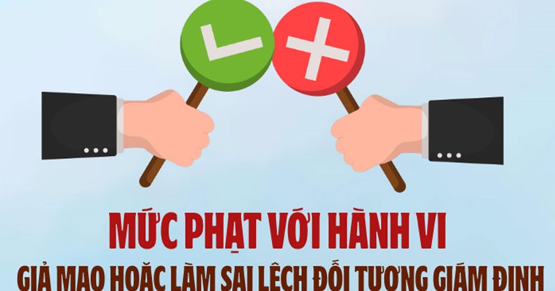 Phạt tiền hành vi làm giả, bóp méo kết quả thẩm định