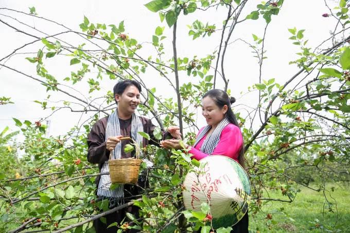Tourists experience agricultural tourism at mulberry gardens in Tay Ninh. Photo: Giang Phuong/VNA