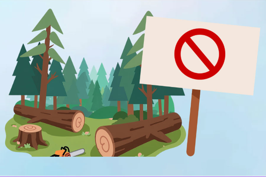 Fines for dismantling traffic signs, prohibition signs, and forest protection instruction signs