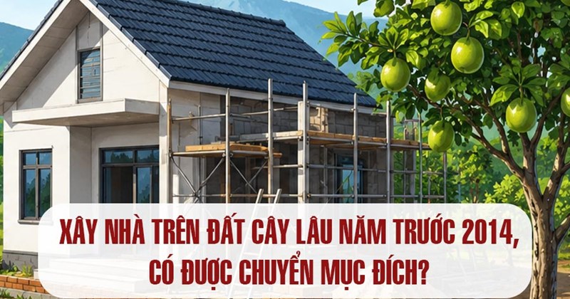 Đổi mục đích đất trồng cây lâu năm xây nhà trước năm 2014?