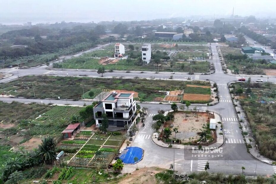 There are 8 residential land plots belonging to the housing area and resettlement area in Viet Tri ward being auctioned. Illustrative photo: To Cong