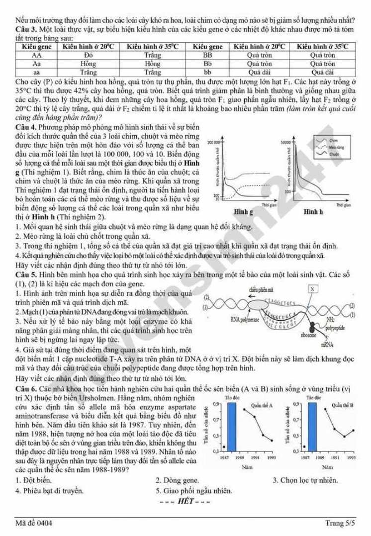 Đề thi thử tốt nghiệp THPT 2026 Sở GDĐT Hải Phòng - môn Sinh. Ảnh: Tuyensinh247