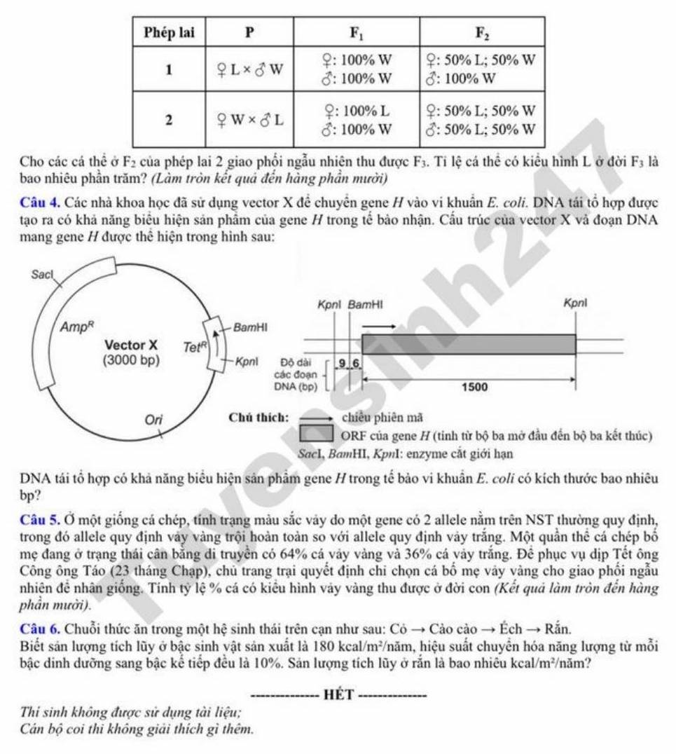 Đề thi khảo sát chất lượng học sinh lớp 12 kết hợp thi thử tốt nghiệp THPT năm 2026 đợt 3 môn Sinh - Sở GDĐT Nghệ An. Ảnh: Tuyensinh247  