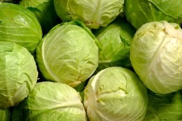 Verdura popular que aporta beneficios inesperados para la salud