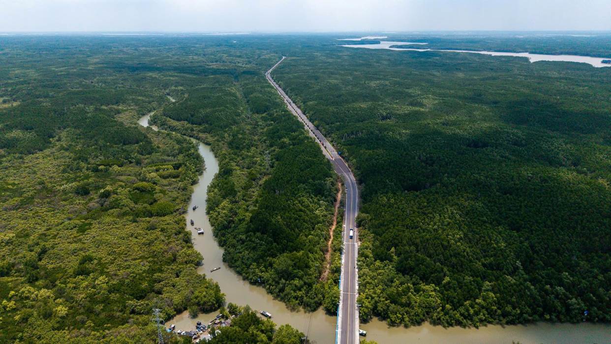 Can Gio expands Ho Chi Minh City's tourism ecosystem