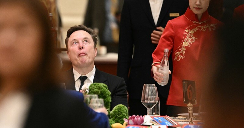 Con trai Elon Musk gây "bão mạng" ở Trung Quốc, túi hình hổ "cháy hàng"