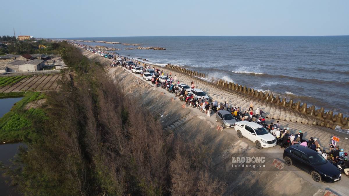 Investing 230 billion VND to urgently handle Hai Thinh III sea dike (Hai Thinh commune, Ninh Binh province). Photo: Luong Ha