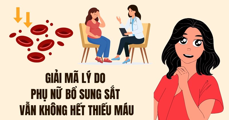 Giải mã nguyên nhân phụ nữ bổ sung sắt vẫn thiếu máu