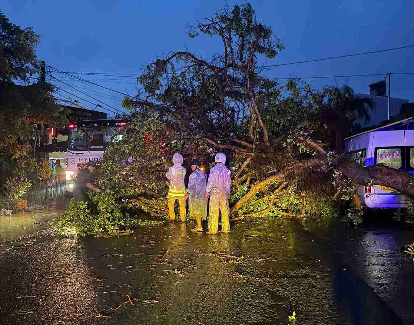 Cây xanh gãy đổ sau khi giông lốc quét qua địa bàn xã Ea Kar. Ảnh: Công an cung cấp