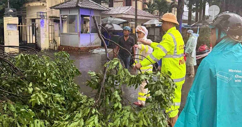 Lốc xoáy ở Đắk Lắk: Nhiều nhà tốc mái, cây xanh gãy đổ