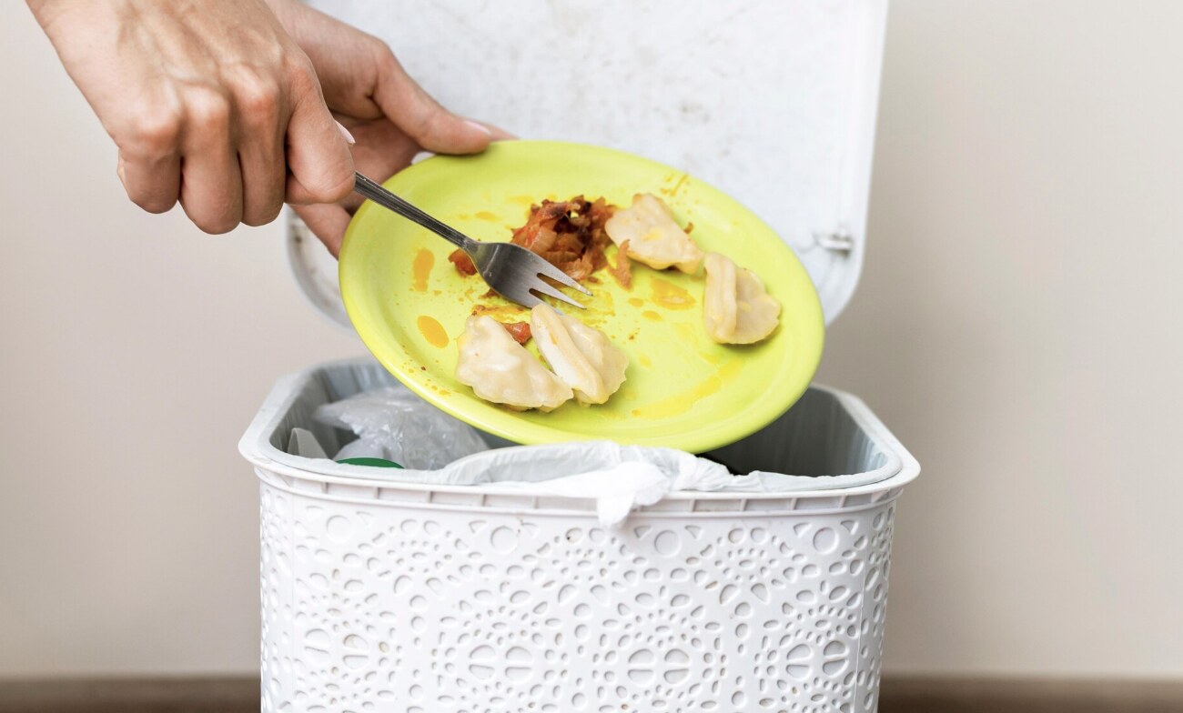 Food leftovers, stagnant water or spoiled vegetables left for a long time can attract adult flies to lay eggs and produce maggots. Photo: Thuy Duong