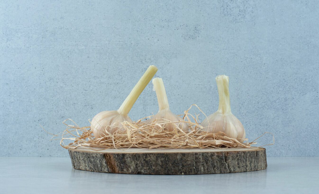 With just a small pot placed next to the window, gardeners can still grow garlic at home. Photo: Thuy Duong