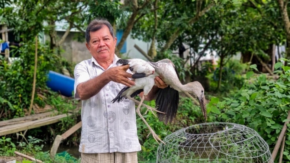 El presidente del Comité Popular Provincial de Vinh Long ha ordenado a los departamentos funcionales que inspeccionen y manejen la situación de la caza ilegal de aves en el jardín de aves del Sr. Hai Chia. Foto: Hoang Loc