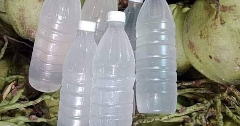 Uống nước dừa mùa hè tốt cho chức năng gan
