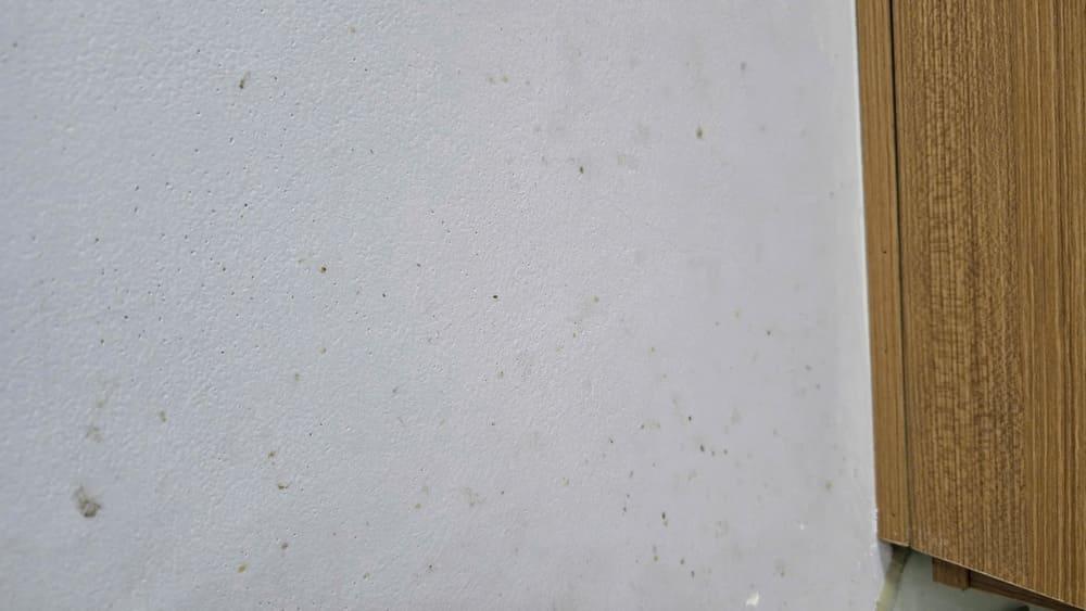 Poor ventilation and odor absorption systems will be one of the reasons why wall stoves are dirty and moldy. Photo: Tuan Dat