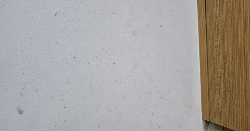 3 lý do tường bếp luôn bẩn và có nấm mốc