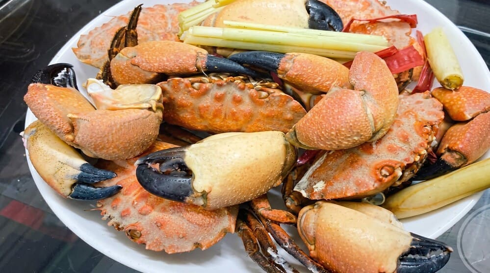 Cu Ky contains many nutrients, bringing good benefits to family health. Photo: Tuan Dat