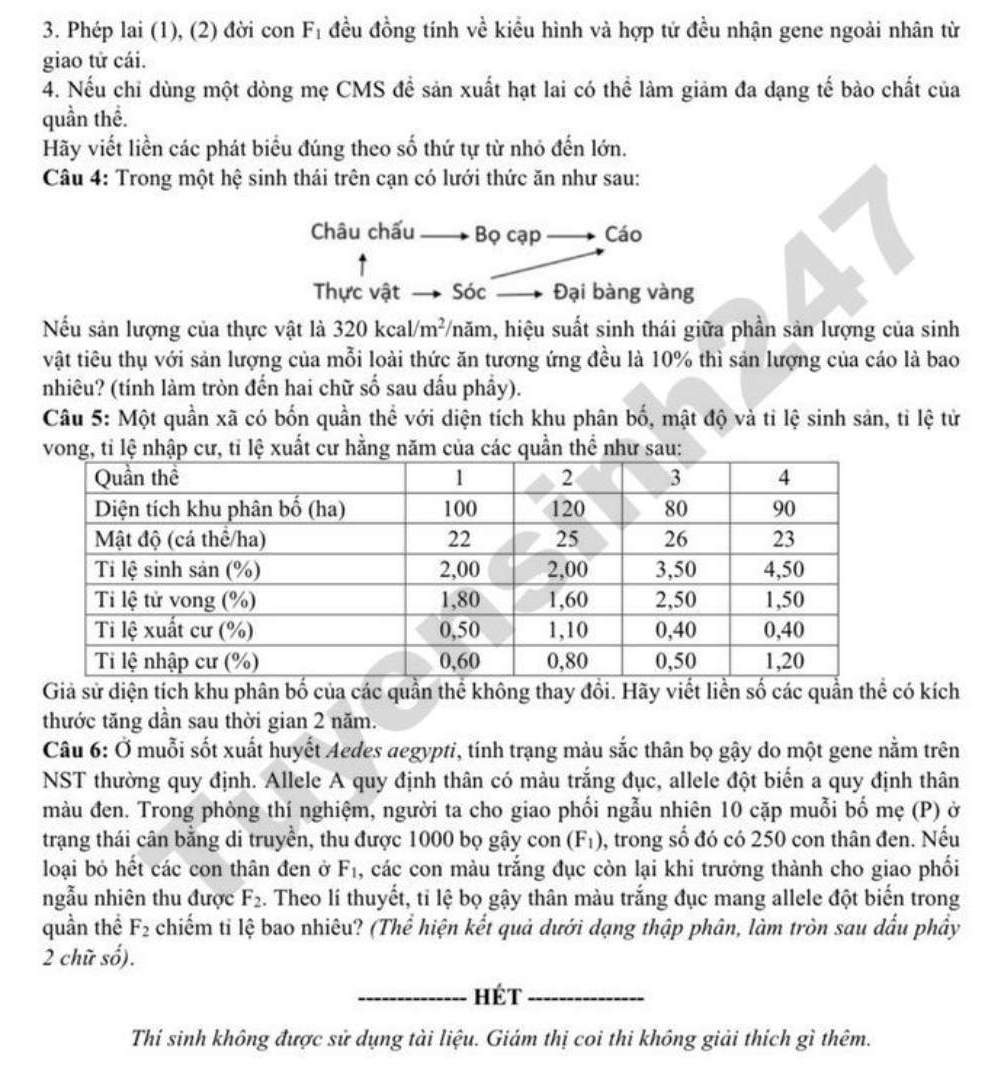 Đề thi thử tốt nghiệp THPT 2026 Sở GDĐT Bắc Ninh - môn Sinh. Ảnh: Tuyensinh247  
