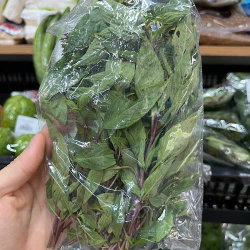 In the context that many people are interested in clean food and sustainable health, growing basil at home is a positive choice. Photo: Quang Minh.