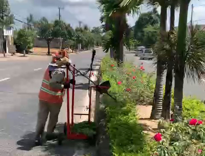 Máy cắt cỏ đặt trên giá đỡ, có bánh xe di chuyển giúp việc cắt tỉa thuận lợi, thay bằng cắt bằng kéo thủ công. Ảnh: Thanh Tuấn 