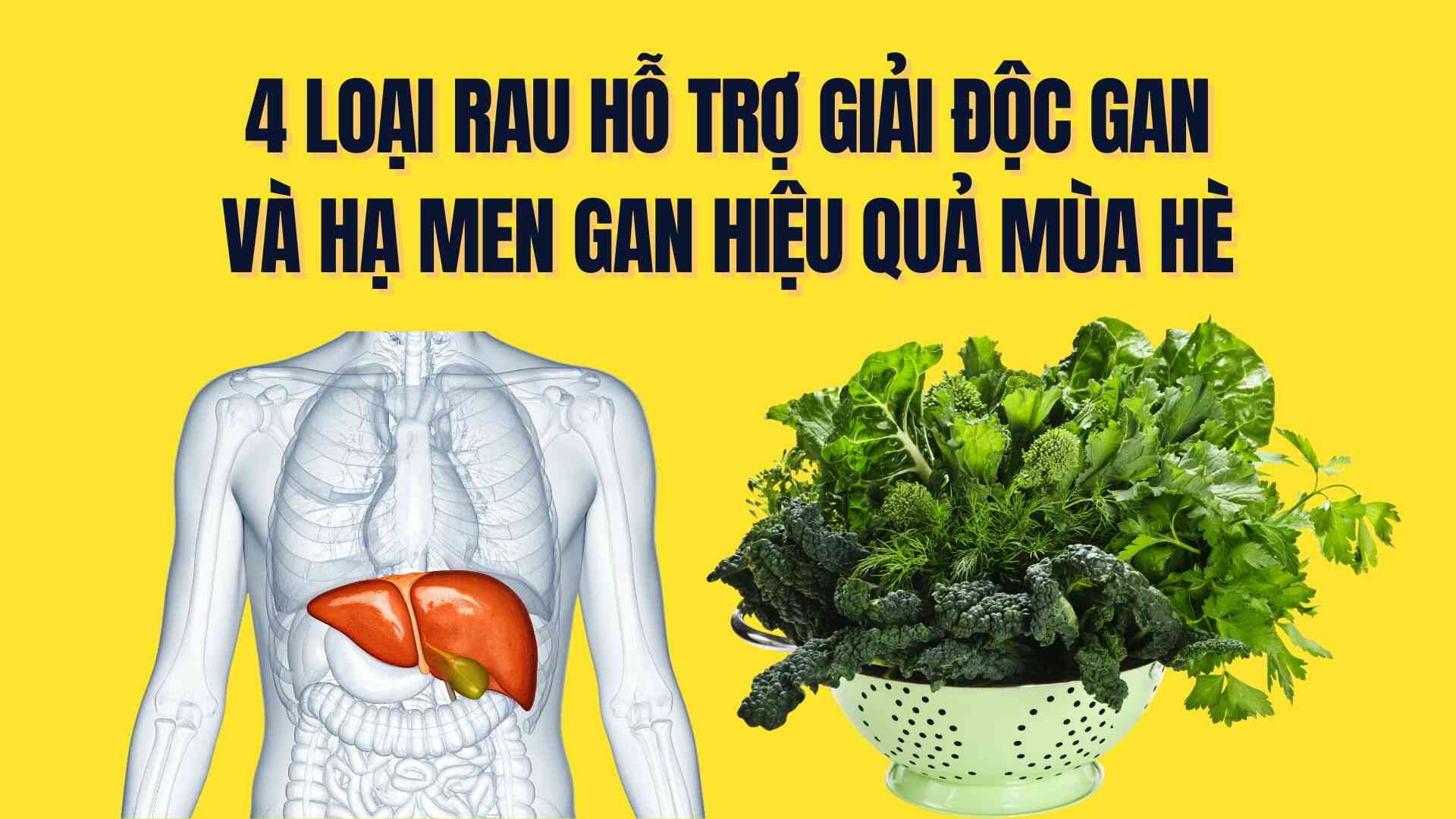 4 types of vegetables that effectively support liver detoxification and lower liver enzymes in the summer