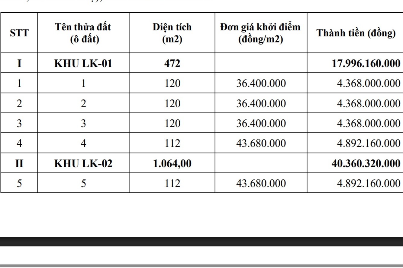 Lô cao nhất giá khởi điểm lên tới gần 4,9 tỉ đồng. Ảnh: Tô Công