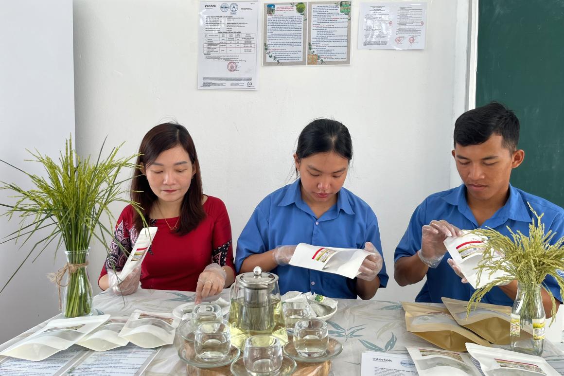 Ngoài lúa chét, trà còn được phối trộn cùng hoa cúc và rễ cỏ tranh. Ảnh: Nhóm sinh viên cung cấp