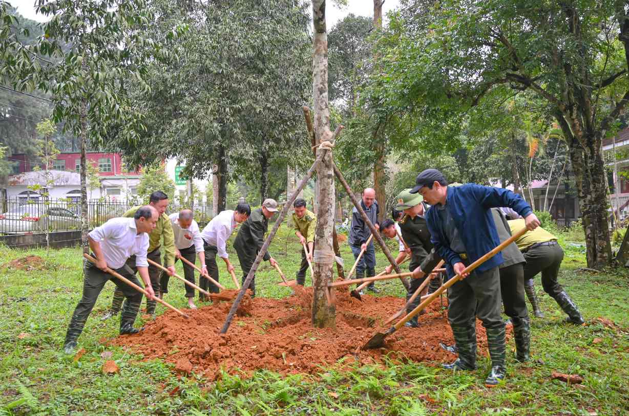 The Grassroots Trade Union of Cuc Phuong National Park organizes tree planting and forest protection. Photo: Cuc Phuong