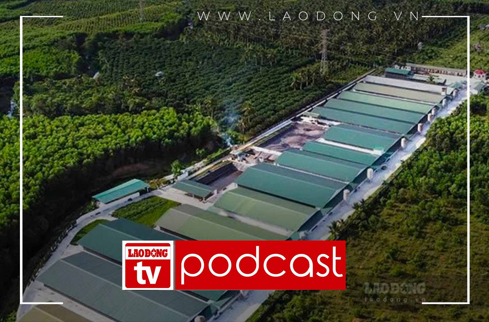 Morning news May 18: Gia Lai temporarily suspends receiving small-scale pig farming projects