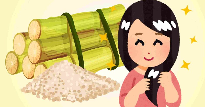 Mía: "Thần dược" cho mái tóc với nhiều lợi ích bất ngờ