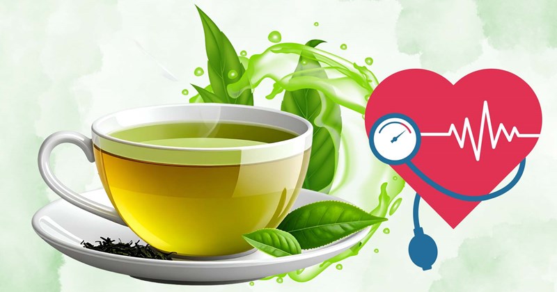 Trà xanh hỗ trợ kiểm soát triglyceride, bảo vệ tim mạch