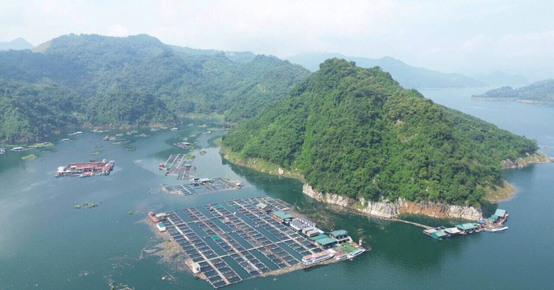 Khai thác tiềm năng Hồ Hòa Bình, tạo sinh kế bền vững cho người dân