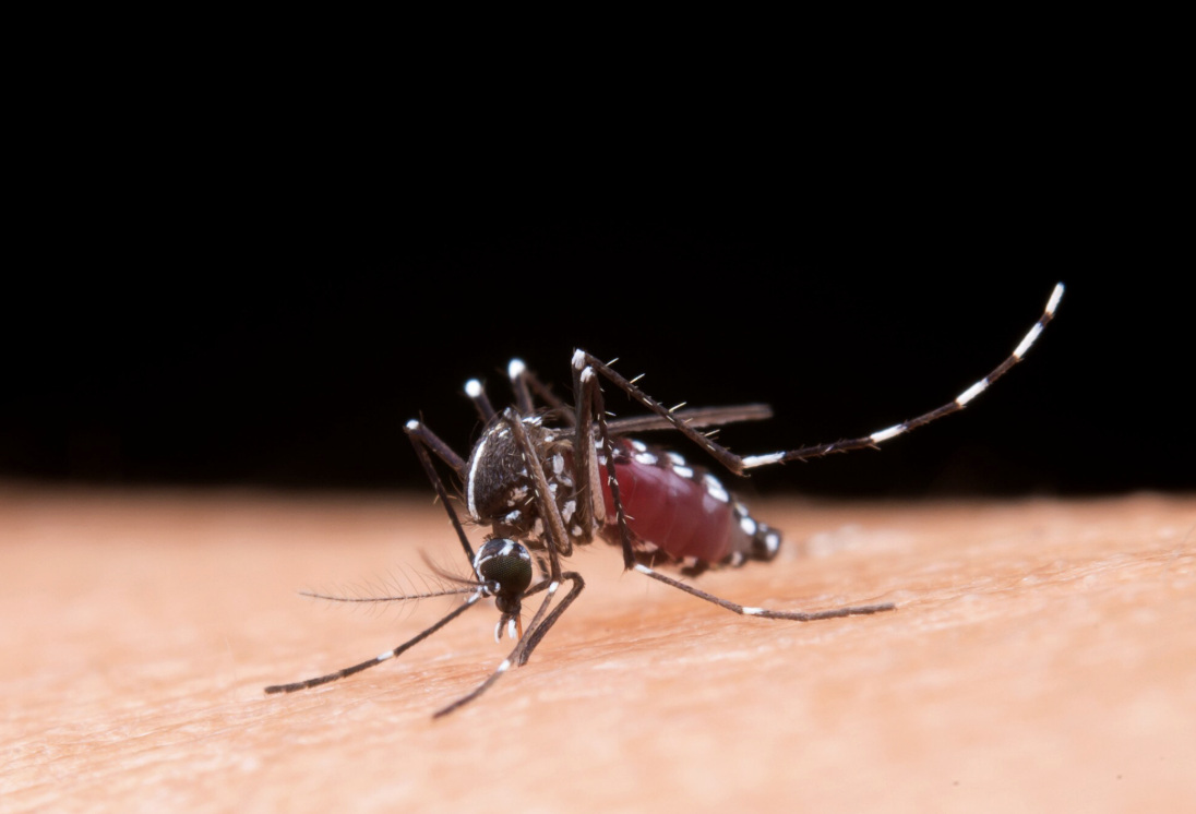 Small changes in daily life can also significantly reduce the risk of increased dengue fever in the summer. Photo: Thuy Duong