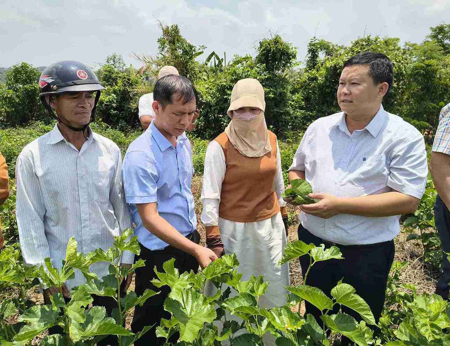Buổi tập huấn được triển khai bài bản hiệu quả. Ảnh: Bảo Trung