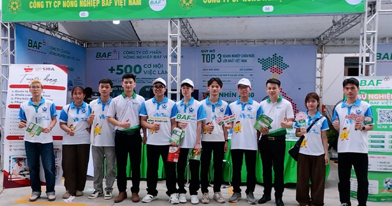 Cơ hội việc làm trong ngành chăn nuôi Việt Nam