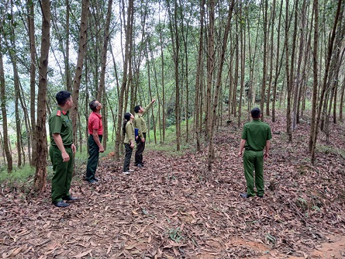 Lực lượng chức năng Phú Thọ thả động vật quý hiếm về rừng. Ảnh: Công an Phú Thọ