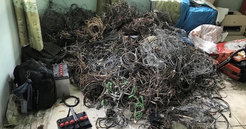 Vạch trần nguyên nhân rừng Việt Nam đối mặt "hội chứng rừng rỗng