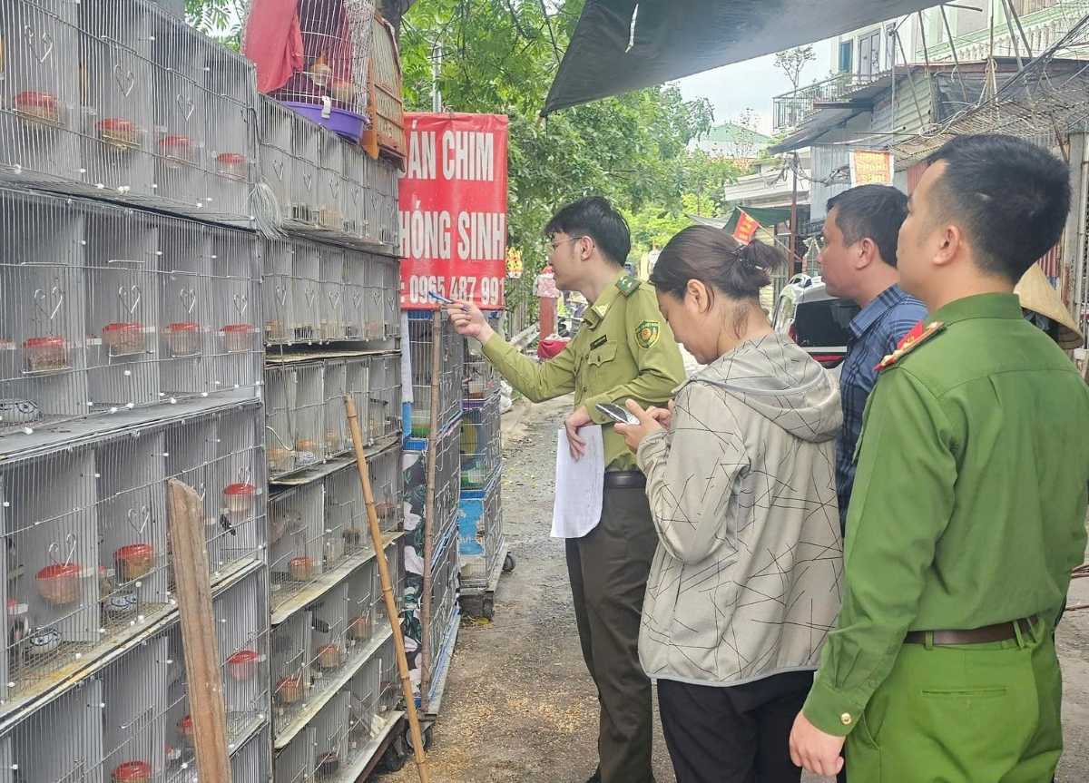 Lực lượng liên ngành phát hiện 3 trường hợp có hành vi mua, bán, nuôi nhốt động vật hoang dã. Ảnh: Công an Hải Phòng