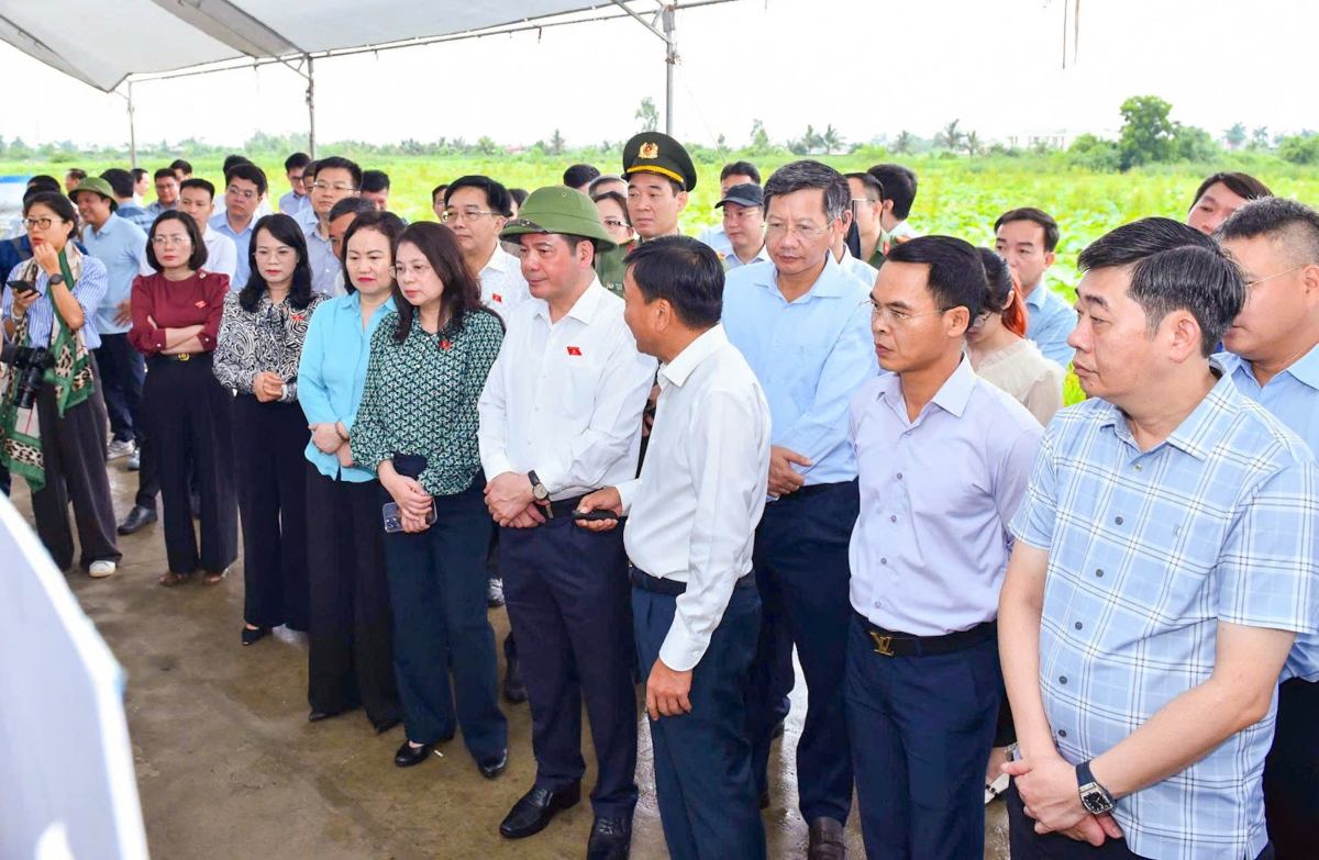 The working delegation surveyed the field of the Lao Cai - Hanoi - Hai Phong railway line construction investment project at the planned location of the Southern Hai Phong railway station in Kien Minh commune. Photo: Hai Phong e-Portal
