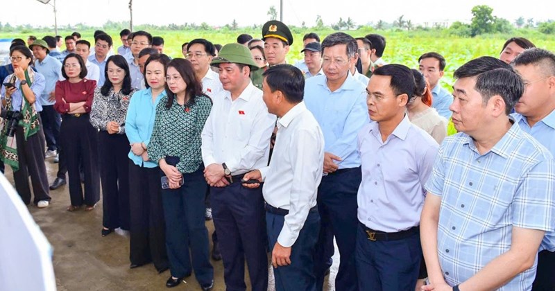 Hải Phòng đẩy nhanh xây khu tái định cư phục vụ đường sắt Lào Cai