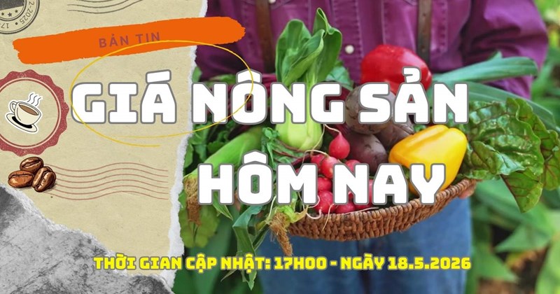 Giá nông sản 18/5: Ổn định trong phiên giao dịch cuối ngày