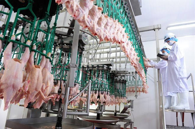 Salary level of animal quarantine officials when increasing the base salary from July 1, 2026. Photo: Anh Linh