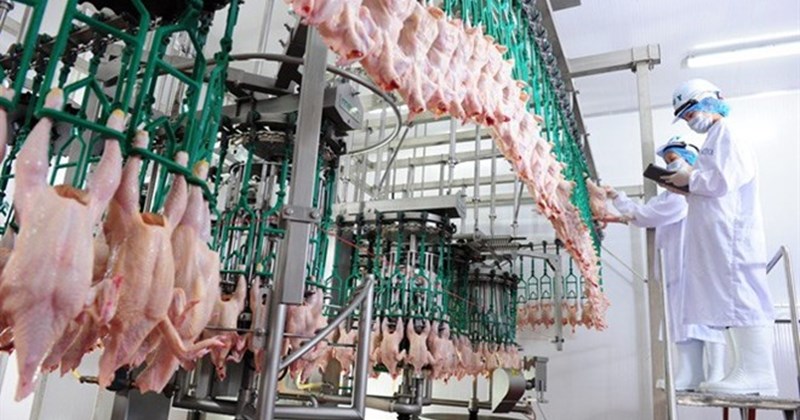 Lương cán bộ kiểm dịch động vật ra sao khi tăng lương cơ sở từ 1/7/2026?